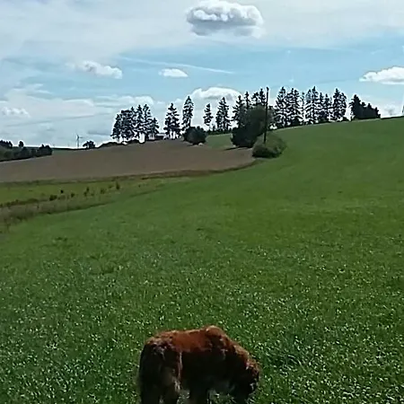 Privatunterkunft Shepherds *
