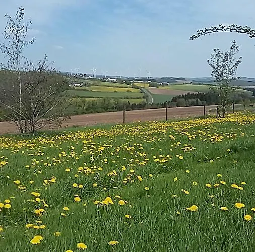 בית אירוח Shepherds *